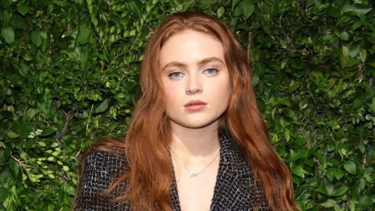 Where Does Sadie Sink Live? Does the Netflix Star Still Live With Her Parents? How Old Is She?