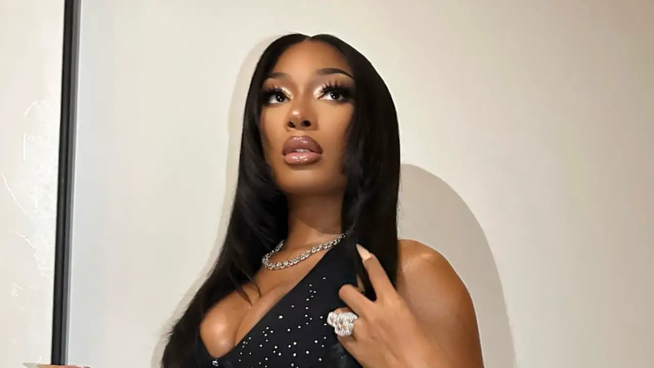 Megan Thee Stallion nose job netflixdeed.com