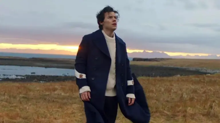 Harry Styles' Song in God's Favorite Idiot: The Singer Explains the Lyrics of Sign of the Times!