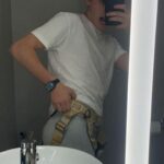 Noah Schnapp Wearing a Harness: What Was the Instagram Post About? Did It Reveal Anything About Stranger Things Season 4?