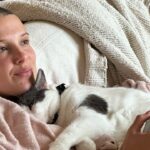 How Many Cats Does Millie Bobby Brown Have? netflixdeed.com