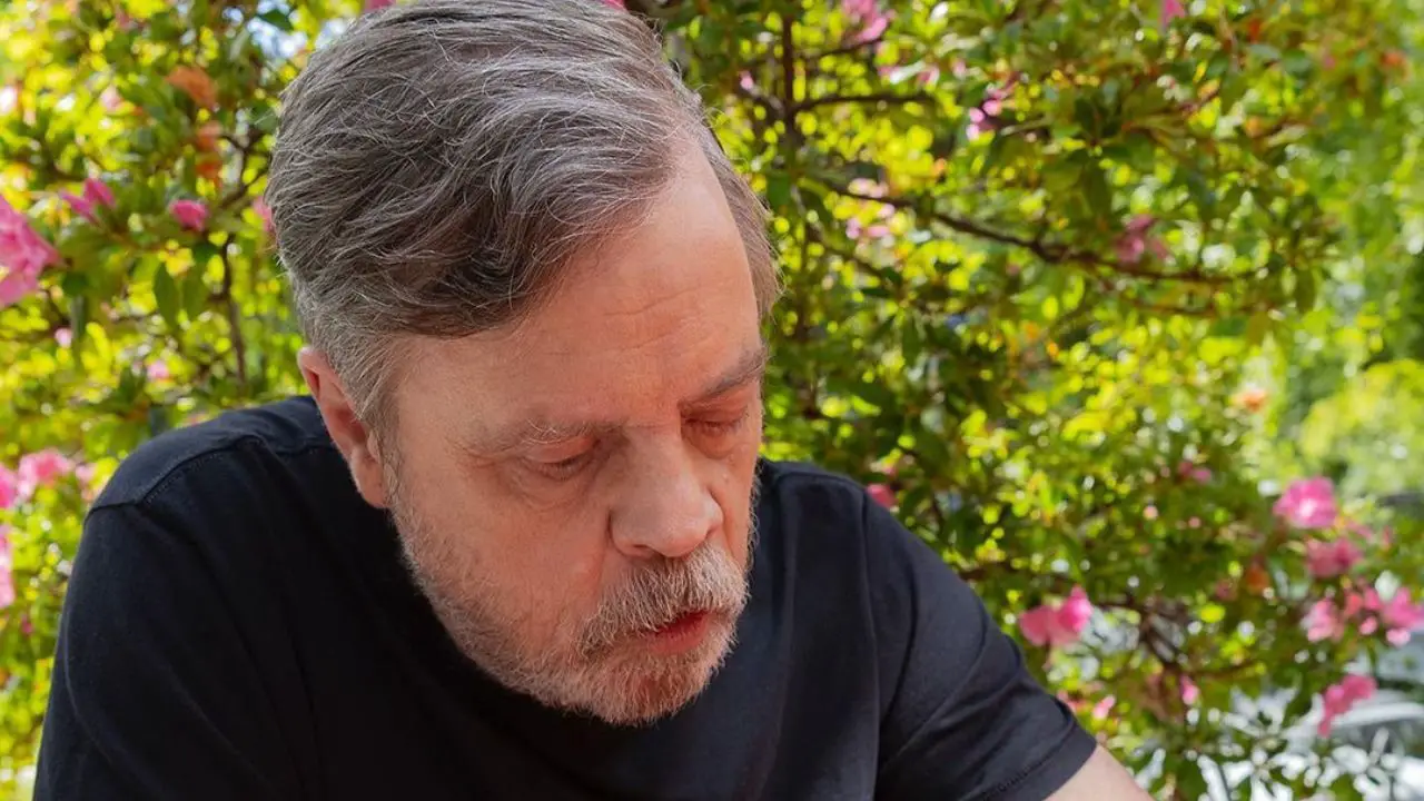 Mark Hamill's scar is still visible to this date. netflixdeed.com