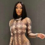 How Did Megan Thee Stallion Get a Scar on Her Foot? netflixdeed.com