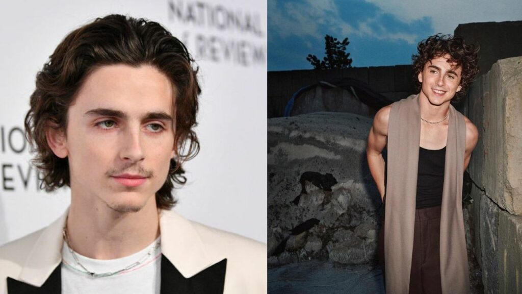 timothee chalamet weight gain Image 1